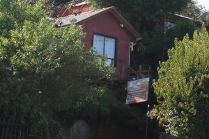 IMG_9230